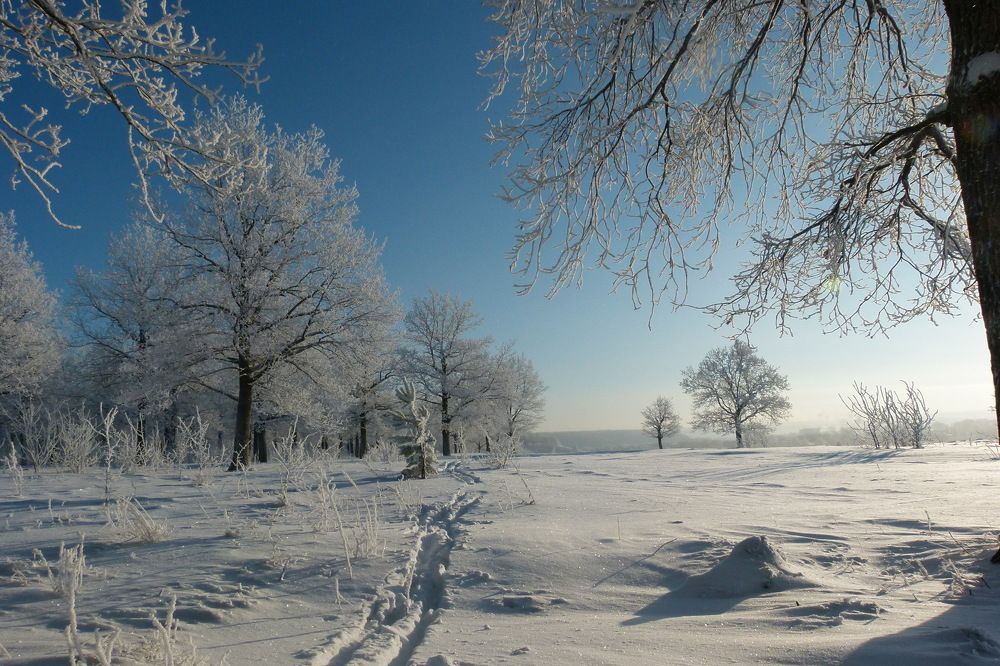 Photograph by Александр Кизим