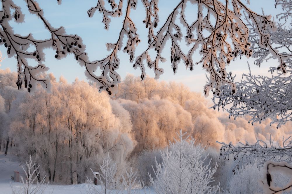 Морозным декабрьским днём