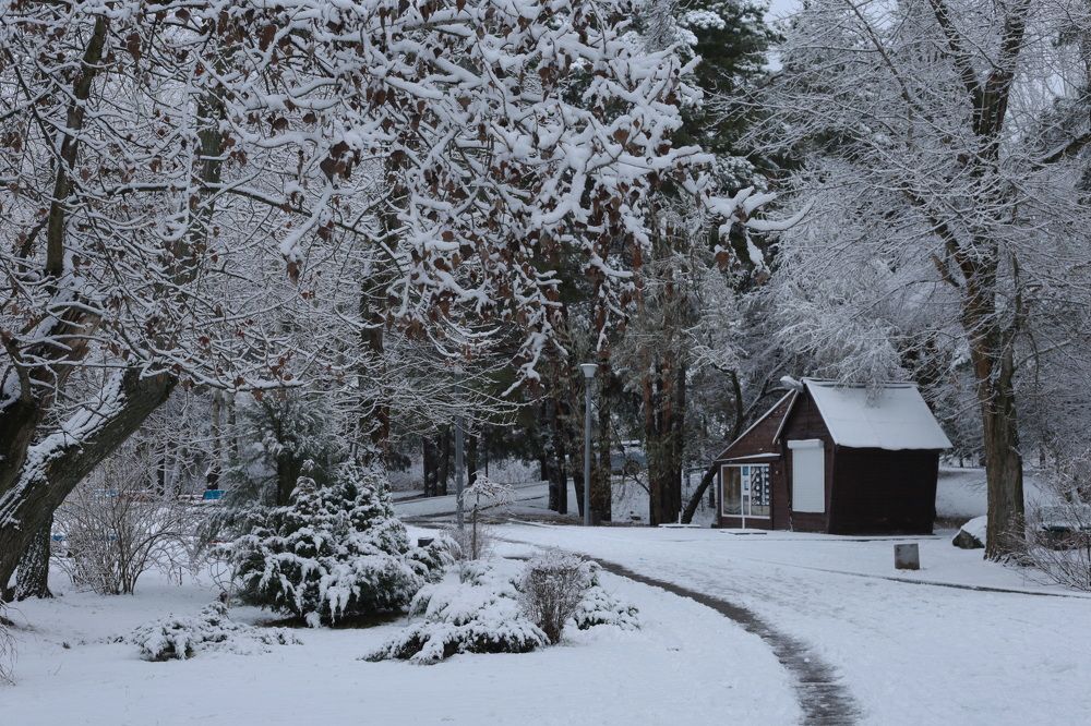Фотография автора Ирина Якущенко
