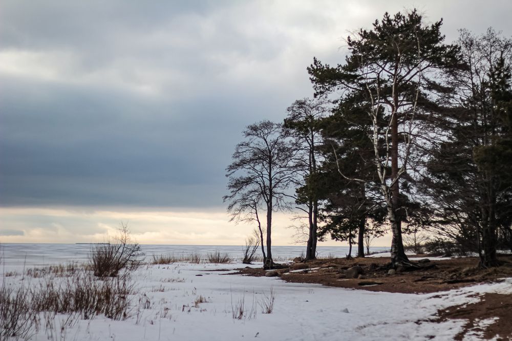 Photograph by Людмила Бетехтина