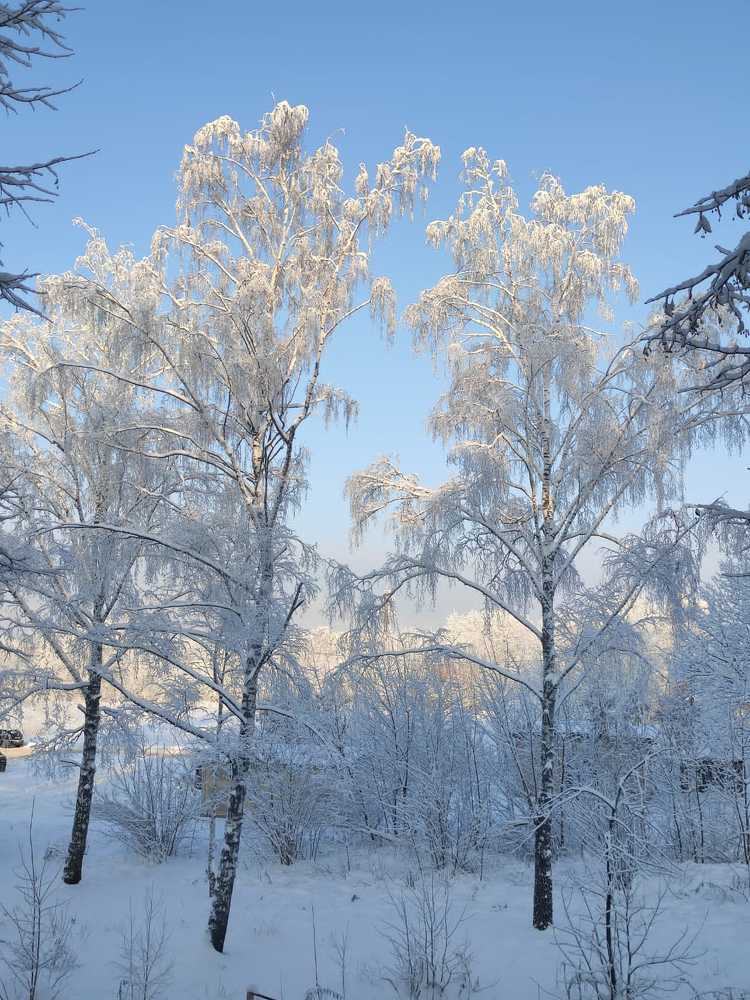 Photograph by Екатерина Полунина