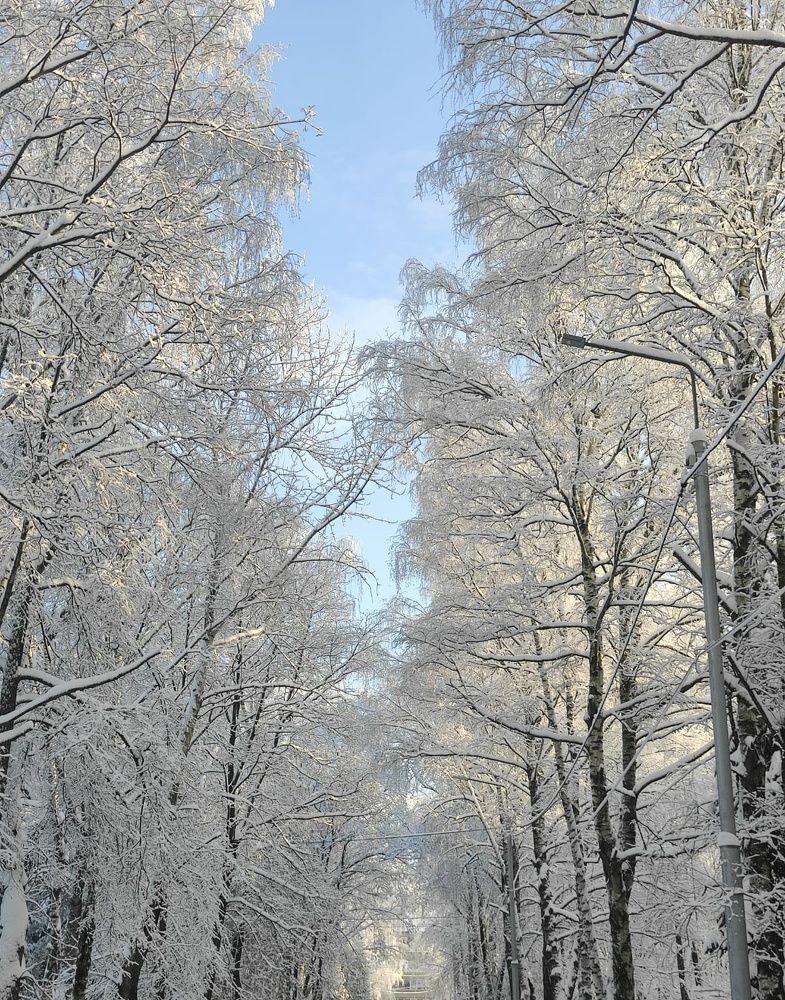 Photograph by Екатерина Полунина