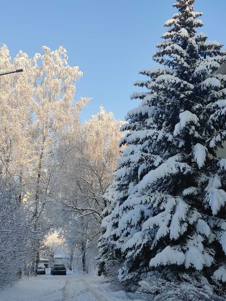 Photograph by Екатерина Полунина