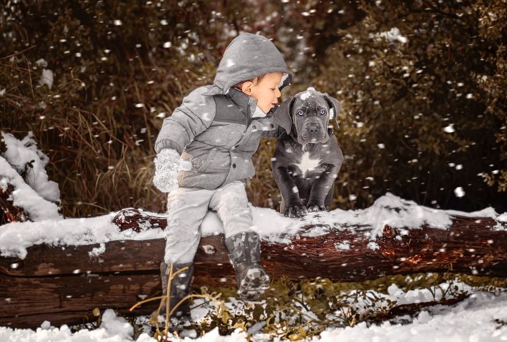 Фотография автора Christina Poly