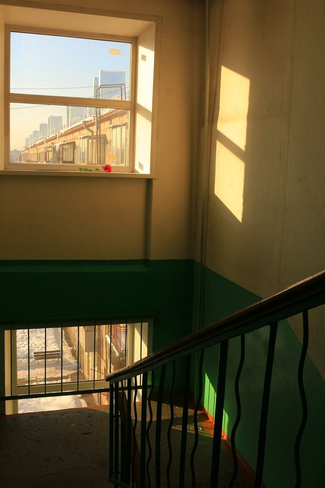 Красная роза...