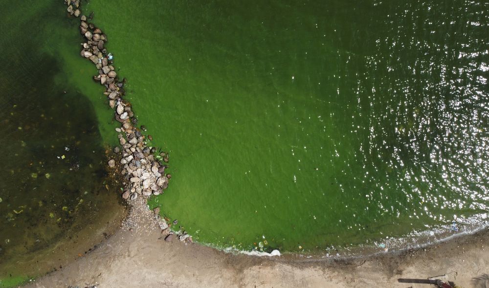 Photograph by Leonardo Fernandez