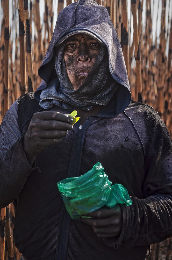 Photograph by César Gustavo Ruiz