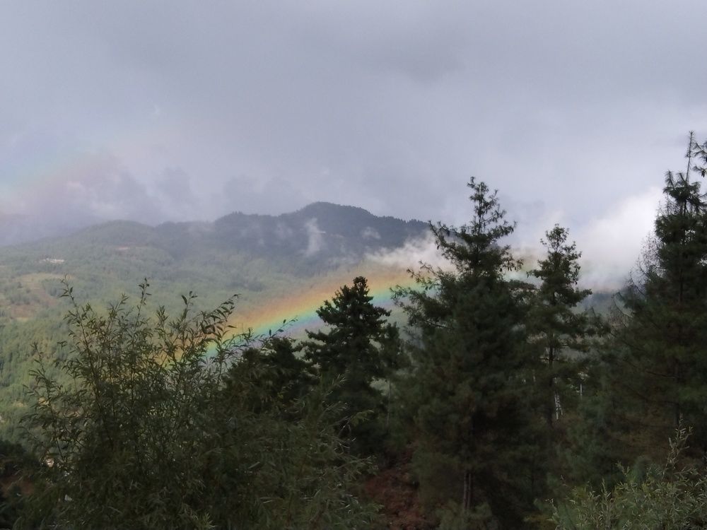 Photo #6933773