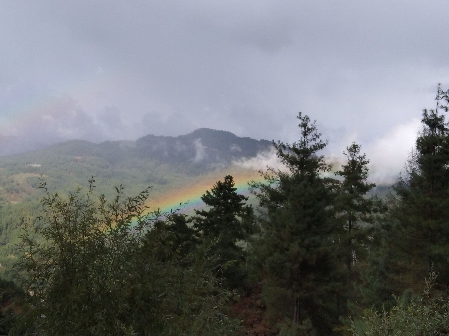 Photo #6933773
