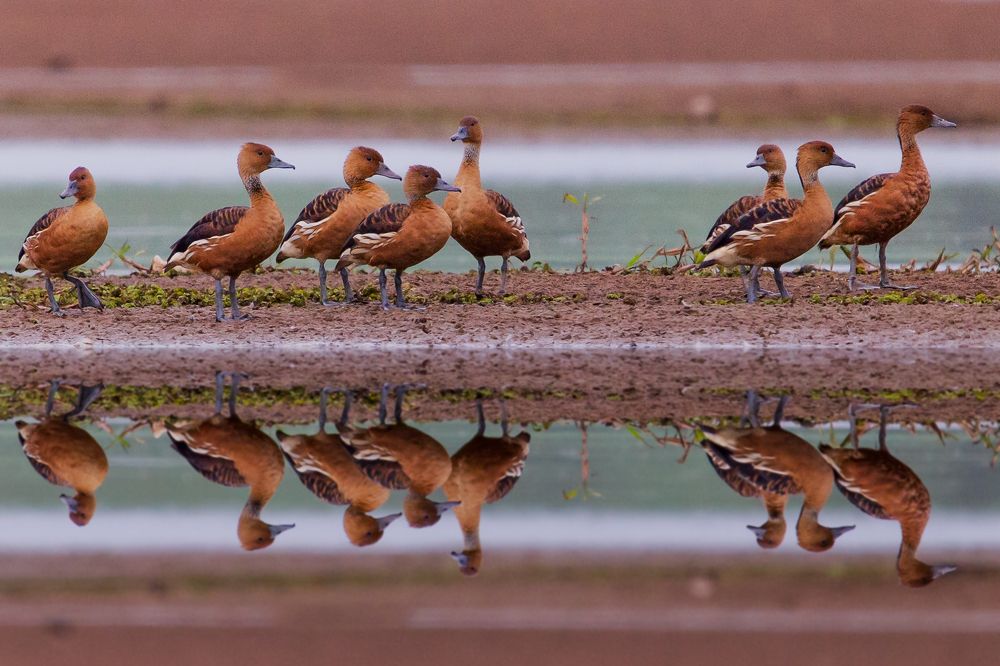 Família em Reflexão