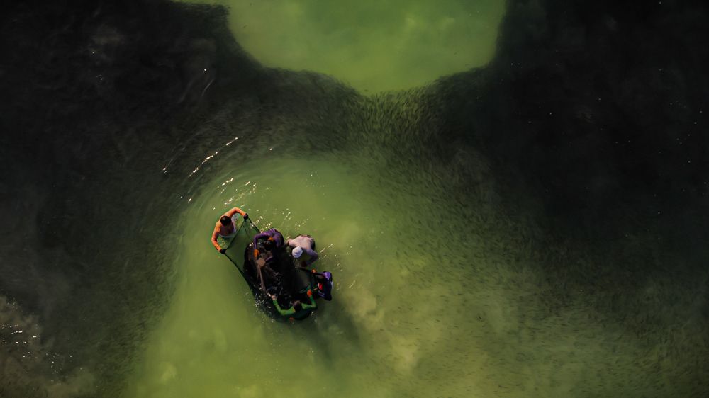 Photograph by Khalid Al-Wadhaihi