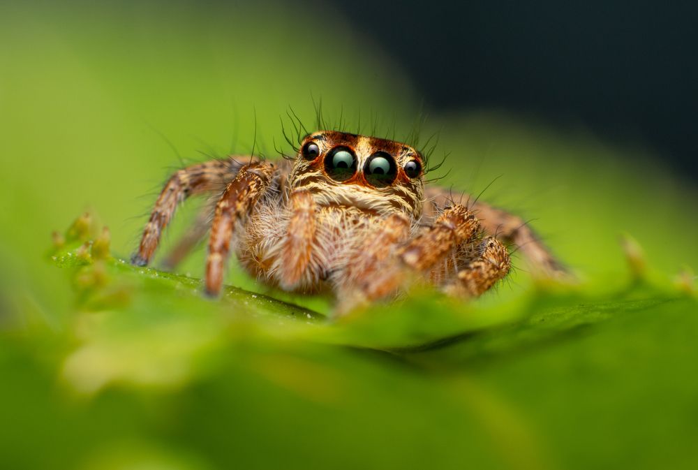 Photograph by Martin Pham