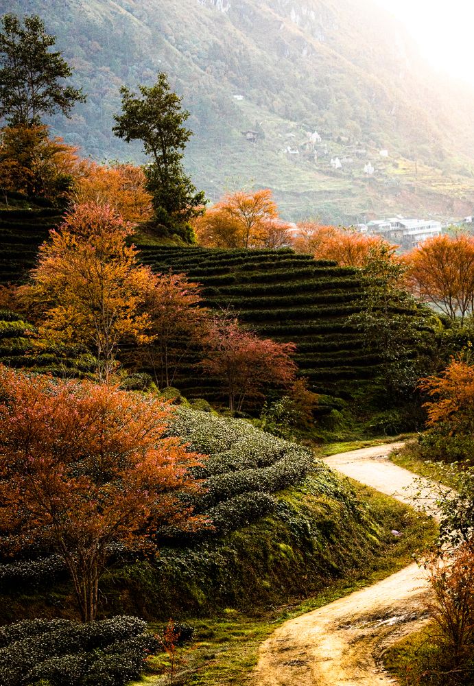 Photograph by Kevin Nguyen