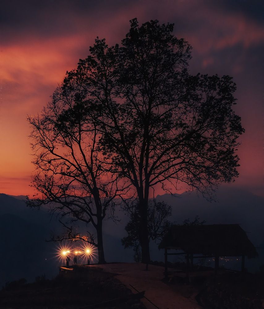 Photograph by Kevin Nguyen