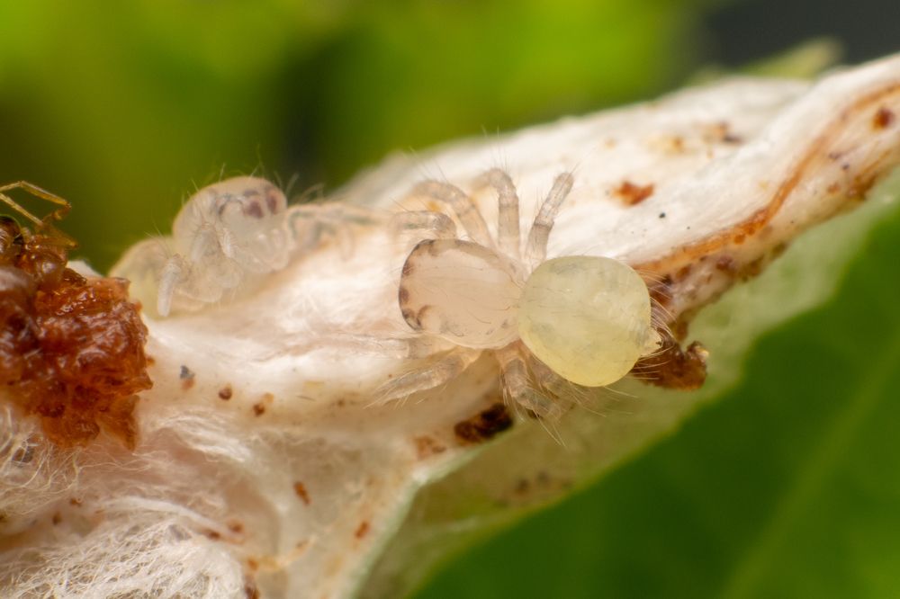 Photograph by Martin Pham