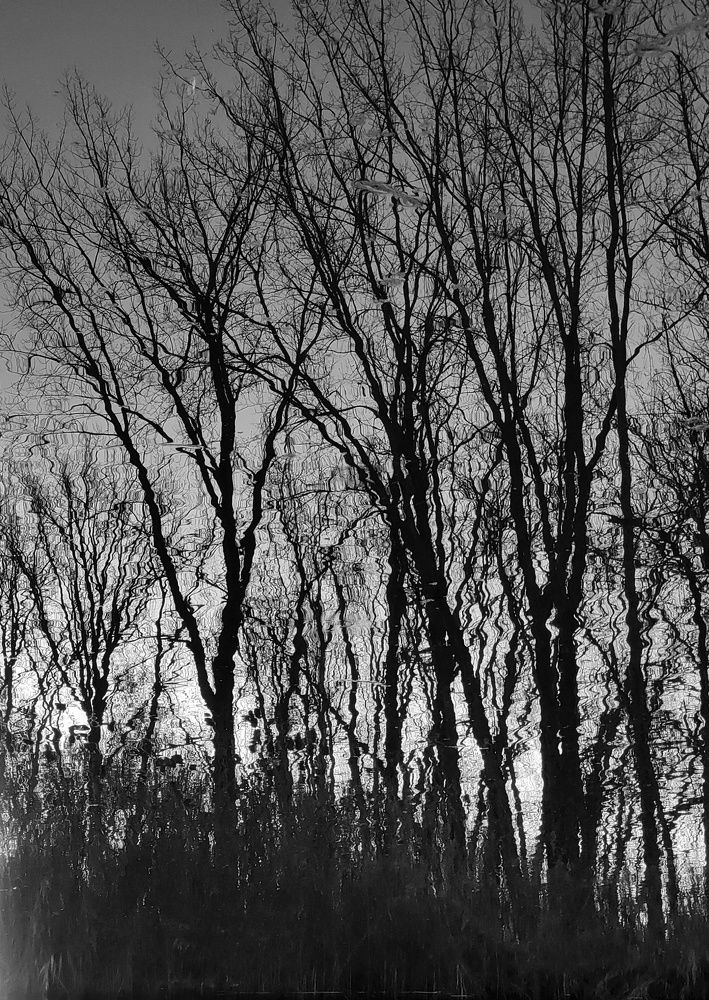 Photograph by Yuan Hu