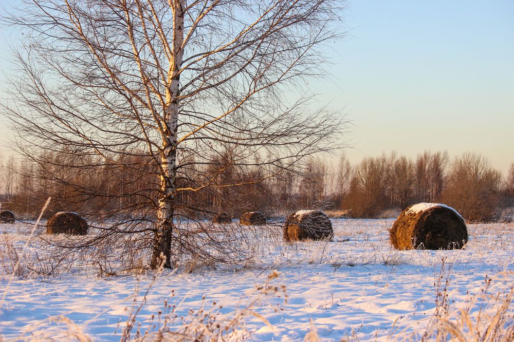 Photograph by Елена Верховская