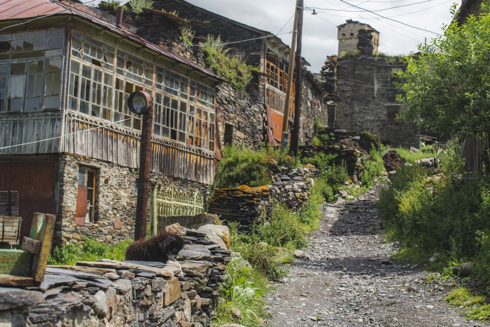 Фотография автора Vakhtangi Janjgava