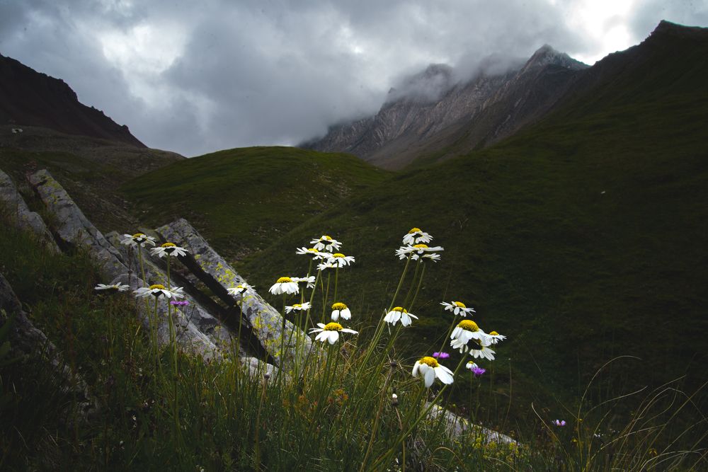 Photograph by Vaxo Janjgava