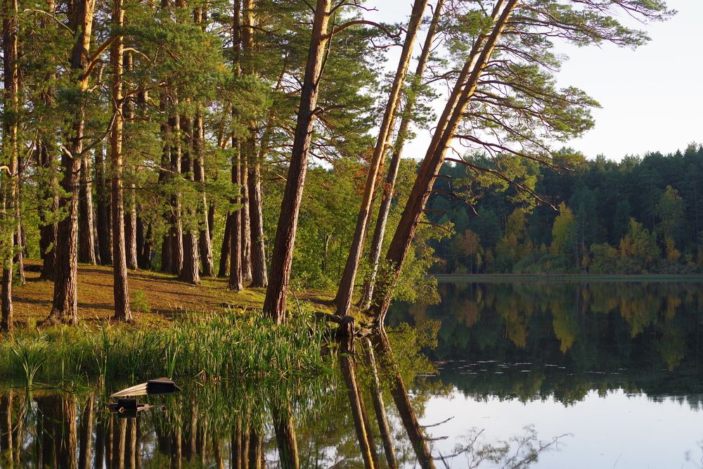 Photograph by Григорий