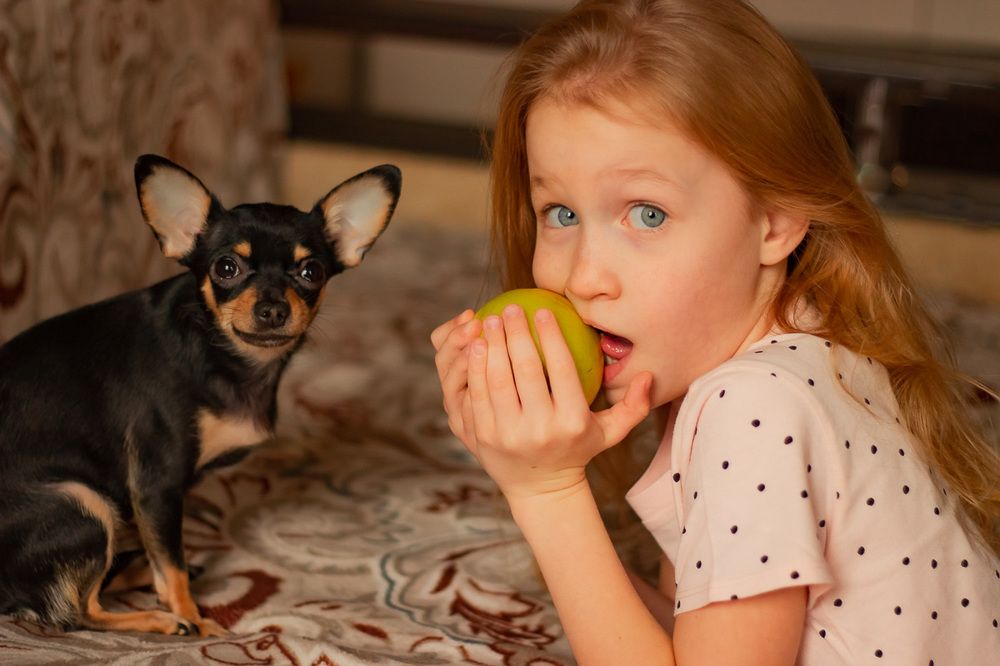 Photograph by Ирина Коновалова