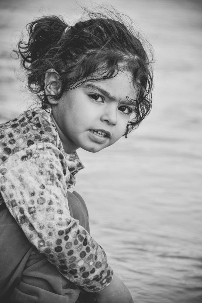 Фотография автора Z Fatemi