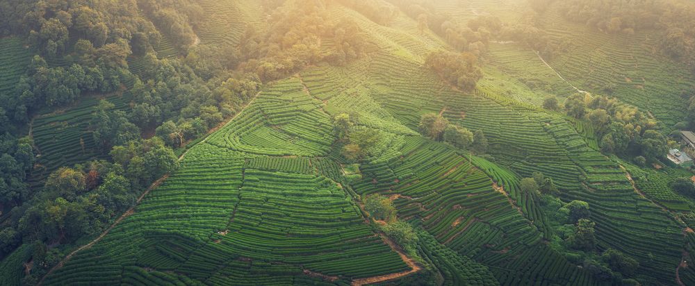 Photograph by Dmitrii Golubev