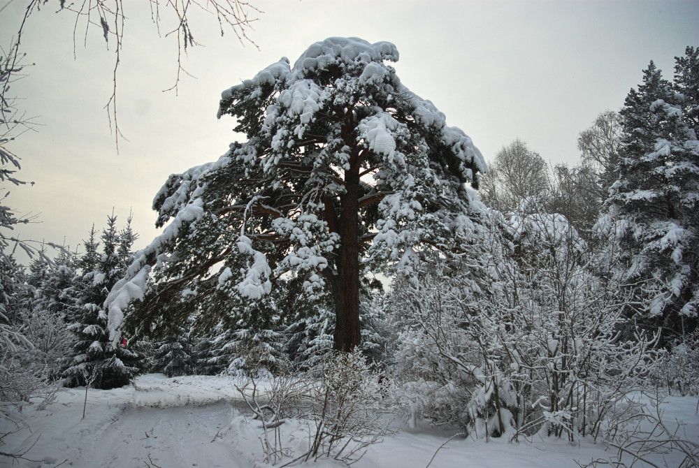 Photograph by Андрей Лебедев