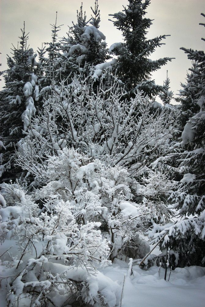 Photograph by Андрей Лебедев