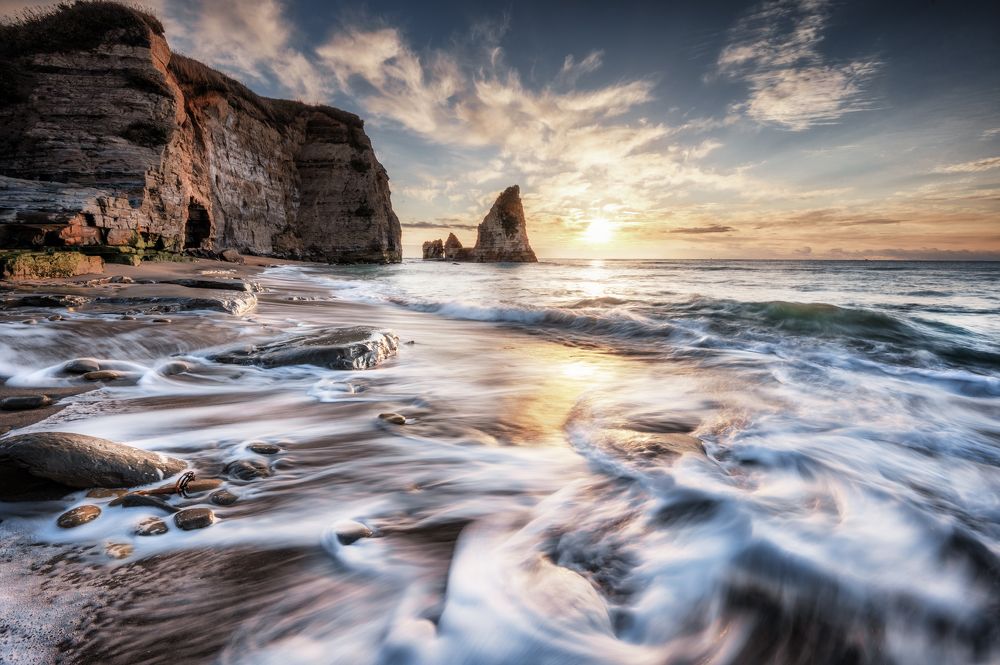 Photograph by Daiki Suzuki