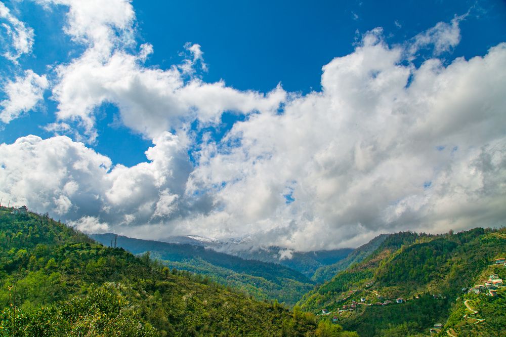 Photograph by Mohammadreza Majlesifar