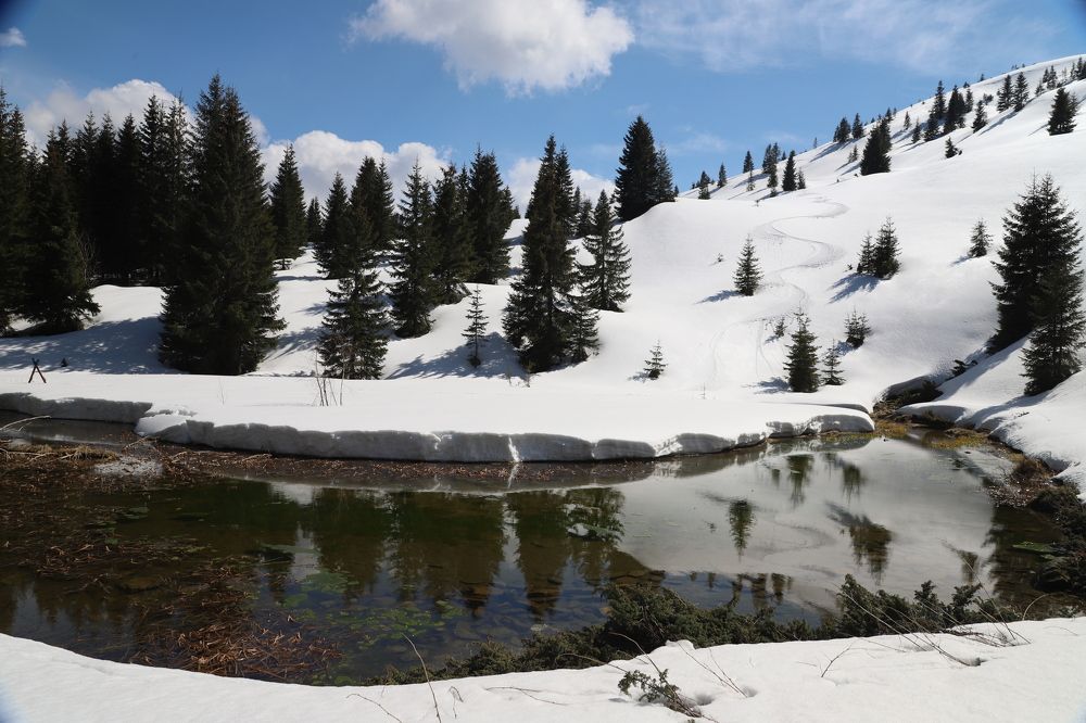 Photograph by Popa Alin