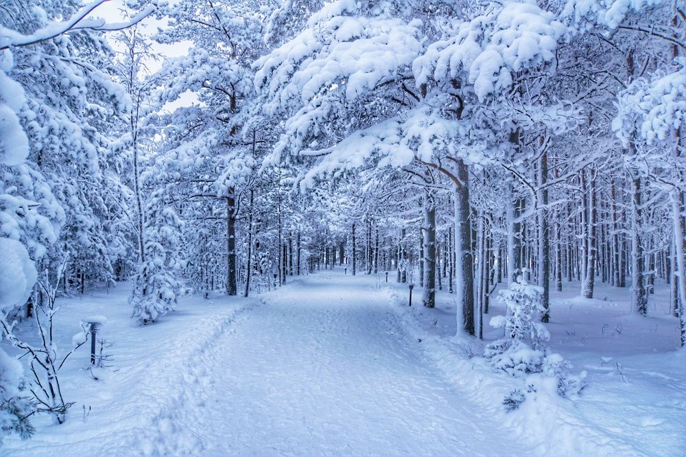 Photograph by Андрей Нурулин