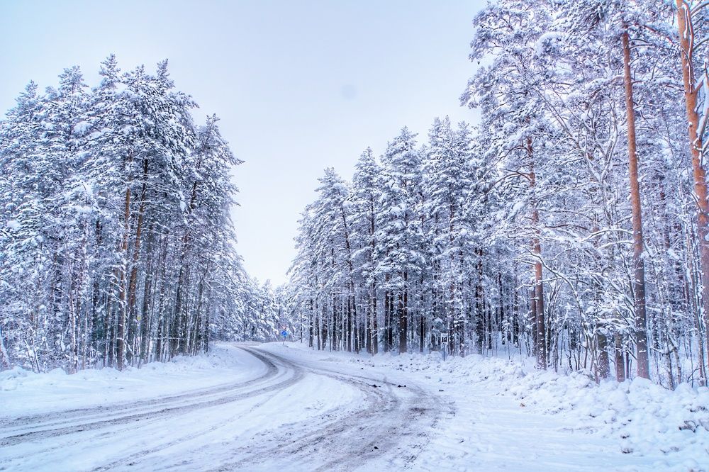 Photograph by Андрей Нурулин