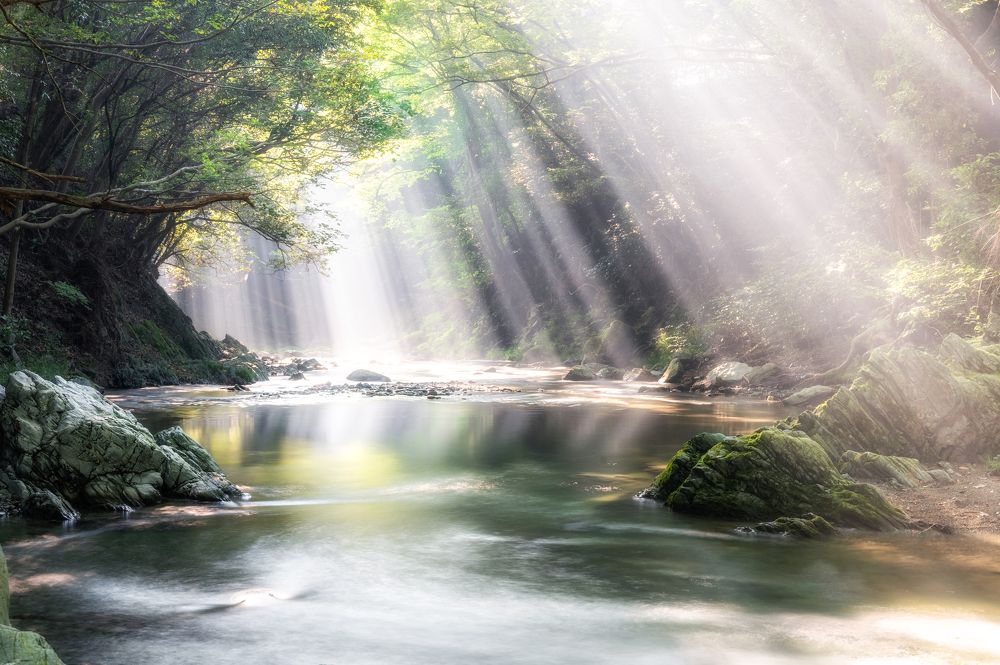 Photograph by Suzuki Daiki