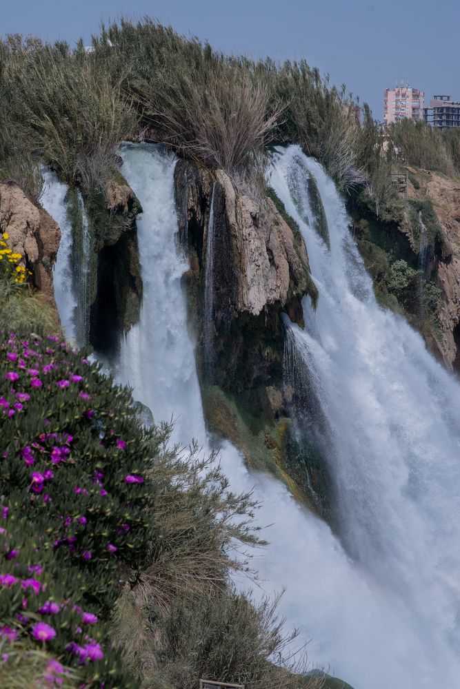 Фотография автора Татьяна Мазепова