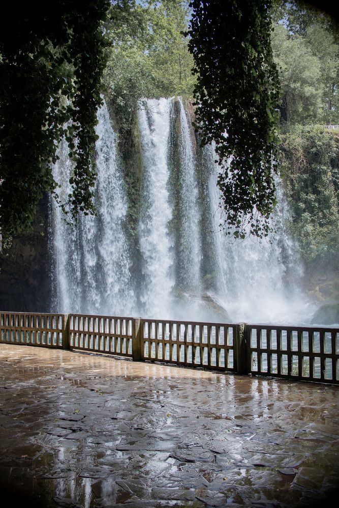 Фотография автора Татьяна Мазепова