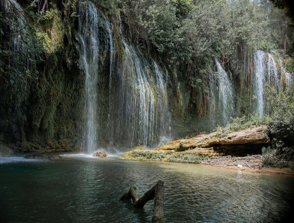 Фотография автора Татьяна Мазепова