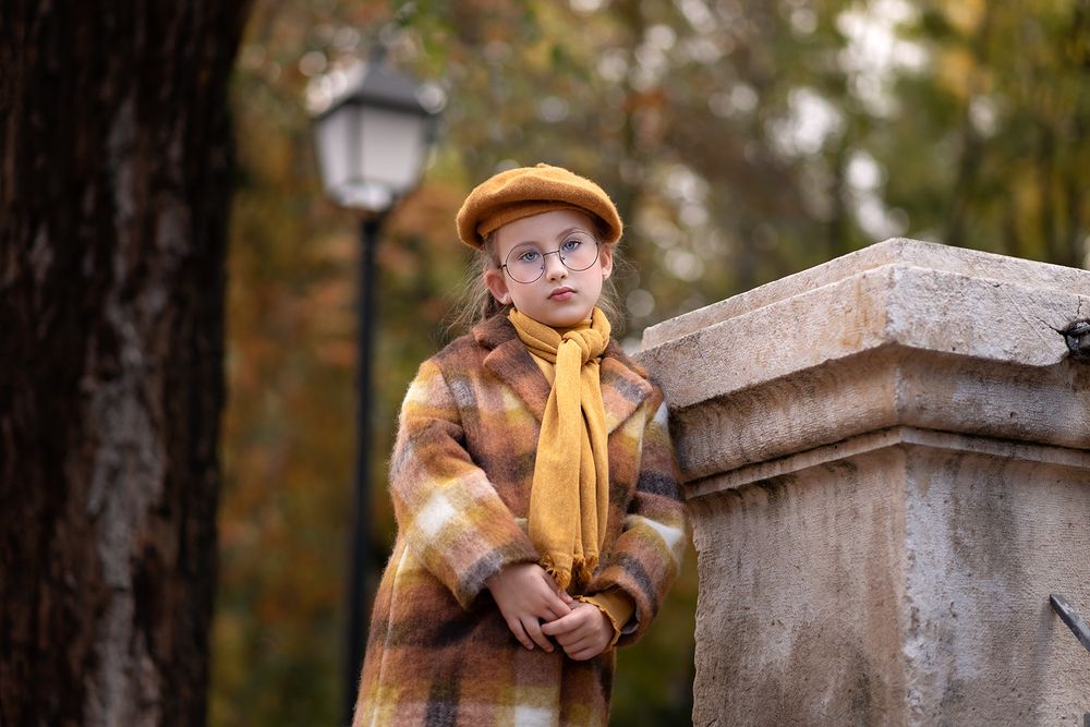 autumn morning in the park