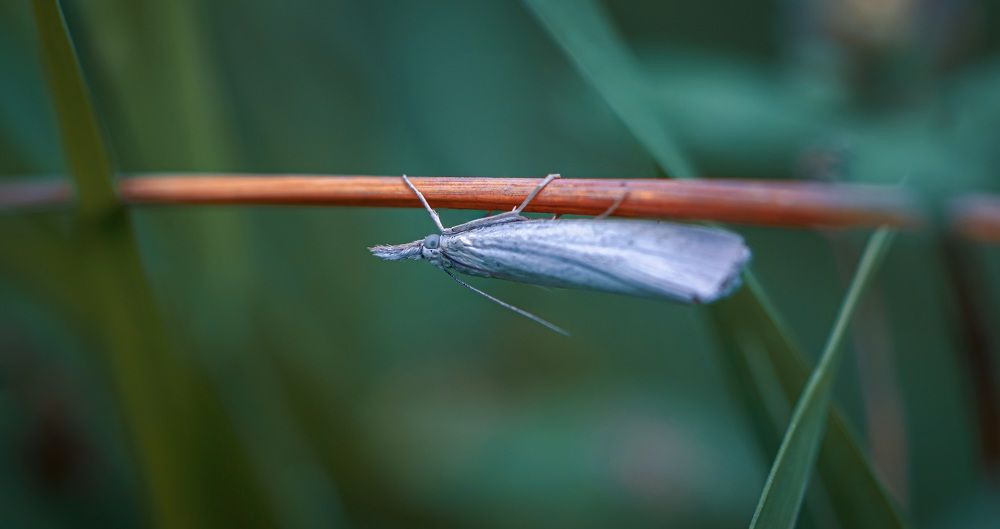 Photograph by Георгий Маршал