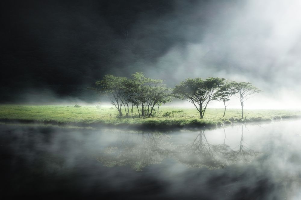 Photograph by Suzuki Daiki