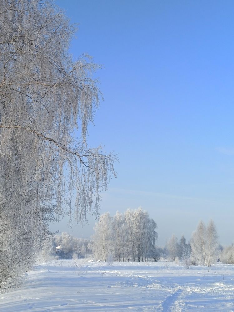 Photograph by Eлена Смирнова