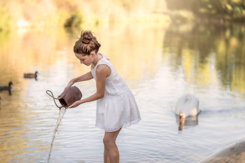 summer morning in the river