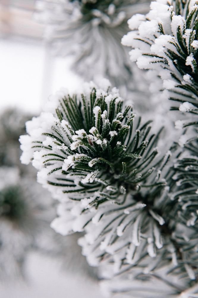 Photograph by Оксана Печкурова