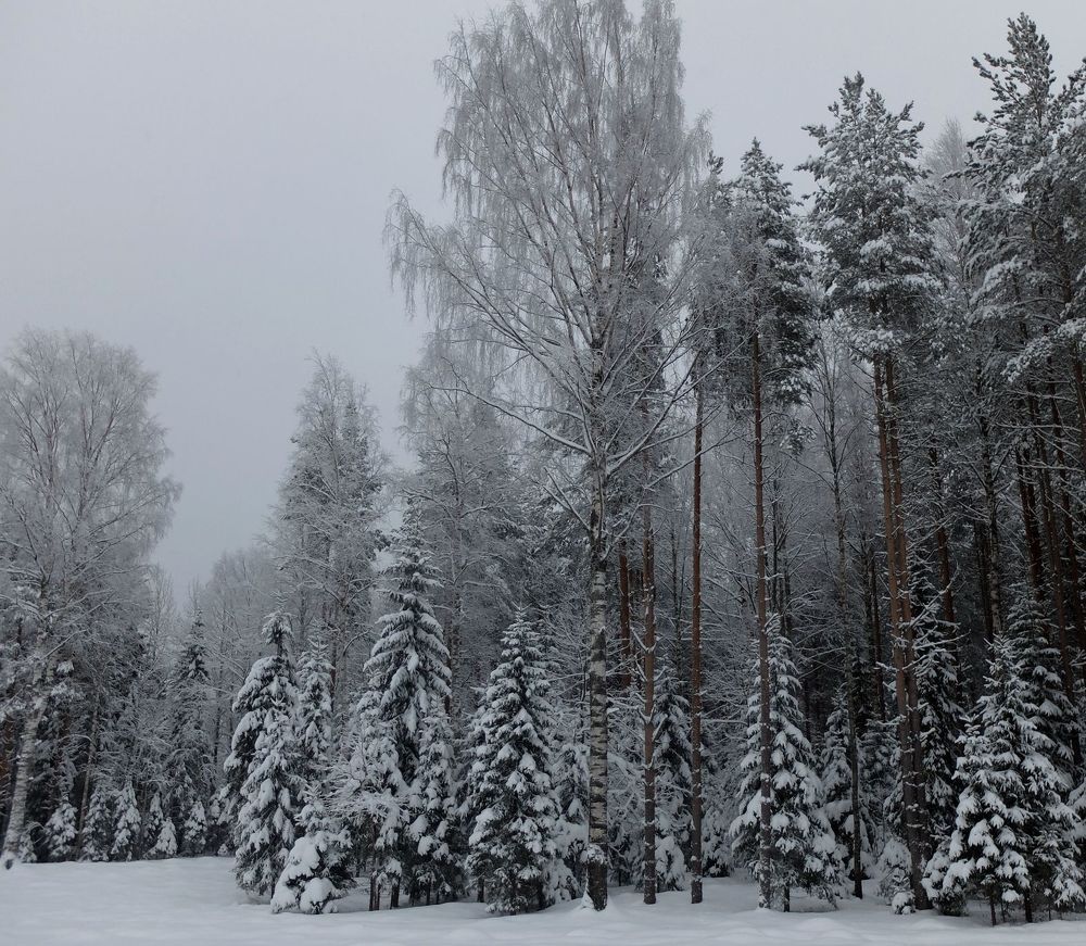 Photograph by Ираида Стародубцева