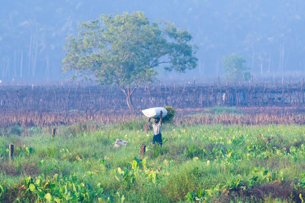 Success means doing the best we can..