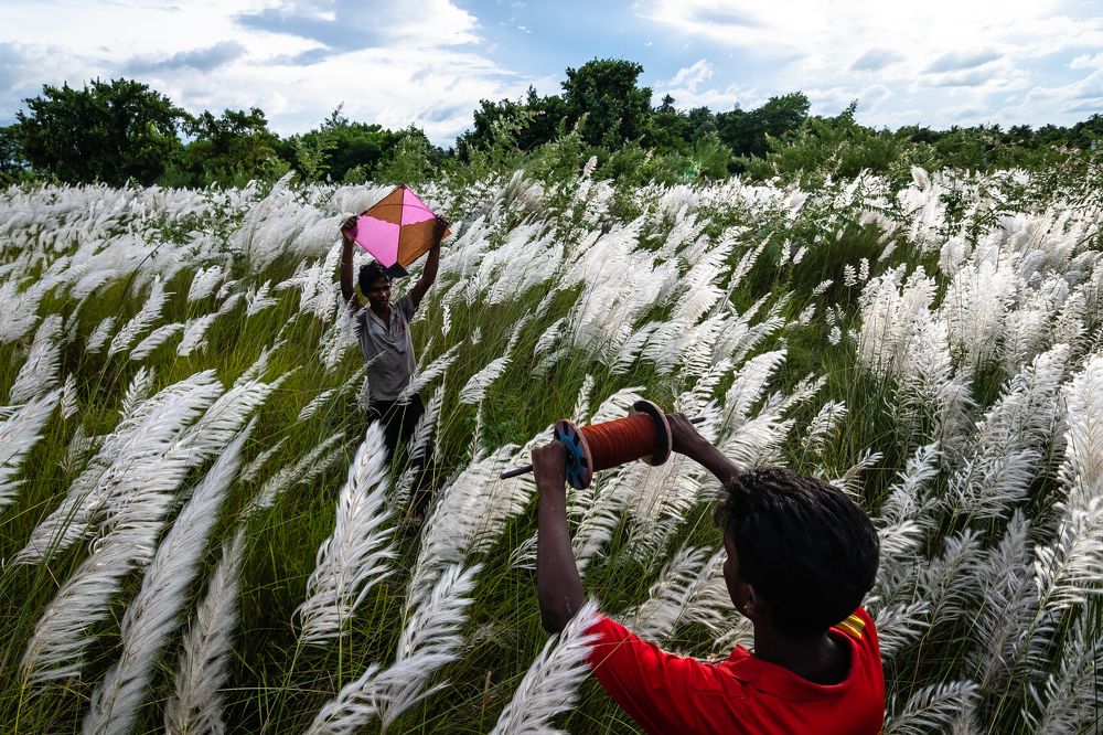 Flying Kite for Children