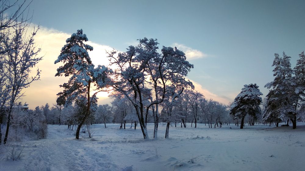 Photograph by Сергей Ковалёв