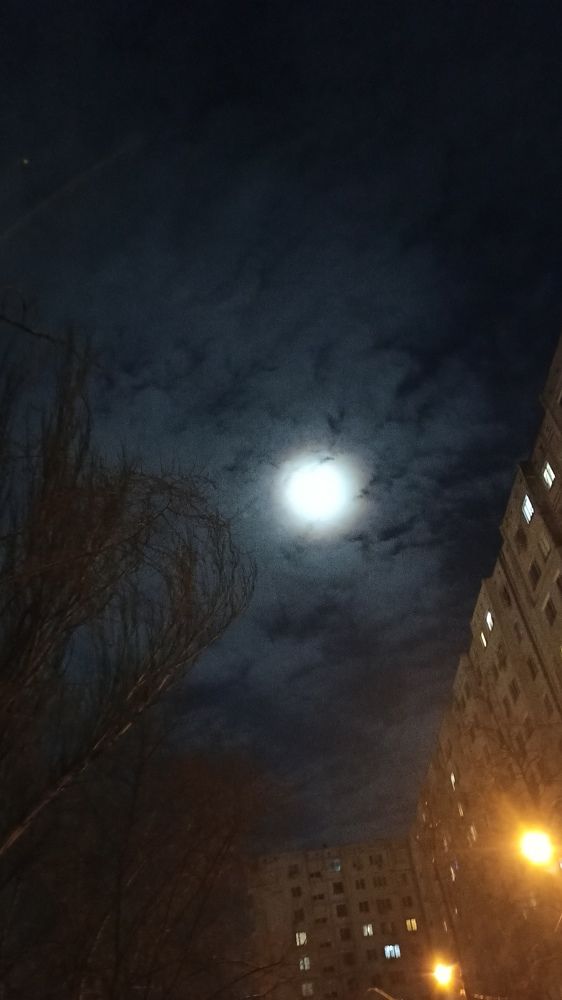 Photograph by Ольга Машукова