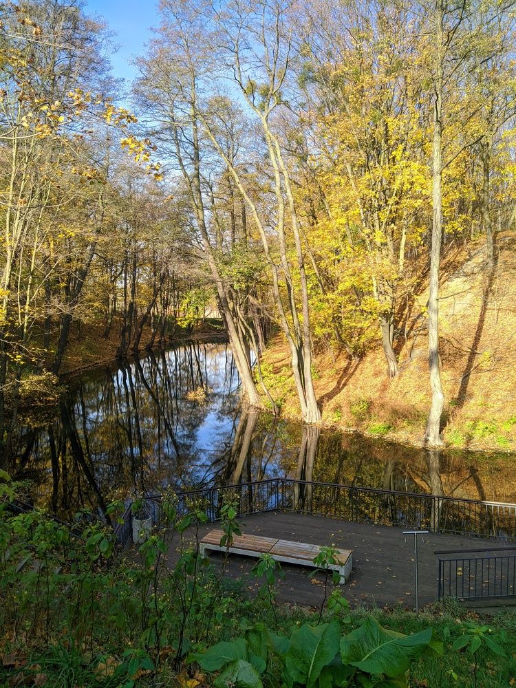 Photograph by Chinara